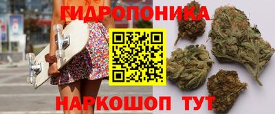 индика Татарск