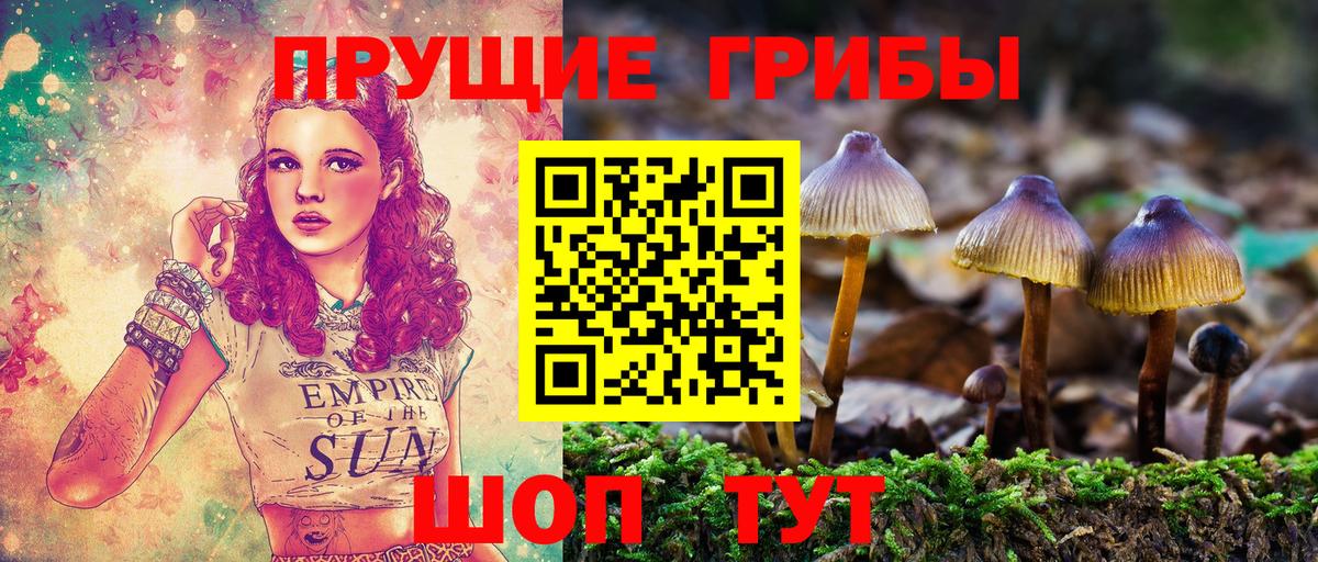 Галлюциногенные грибы Cubensis  наркошоп  Бердск  Вход с VPN  Галлюциногенные грибы Psilocybine cubensis 